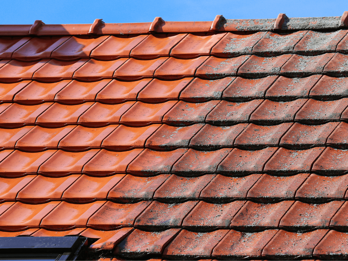 soft washing roof cleaning